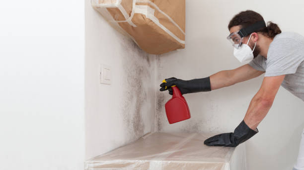 Professional Mold Cleanup technician working in Topsfield, MA