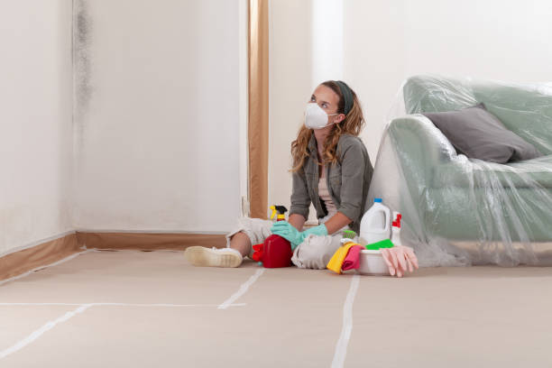 Reliable Mold Cleanup contractor in Topsfield, MA by WQB Mold Removal